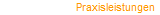 Praxisleistungen